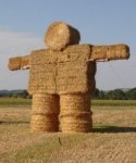 StrawMan.jpg