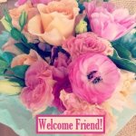 welcome3.jpg welcome3.jpg
