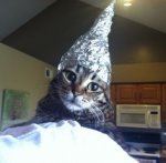 foil_hat.jpg foil_hat.jpg