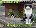 funny-pictures-time-paradox-cats.jpg funny-pictures-time-paradox-cats.jpg