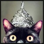 cat_hat.jpg