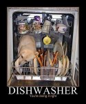 dishwasherdog.jpg