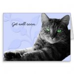 tabby_cat_with_paws_crossed_get_well_soon_greeting_card-re735b14da585433bb5dcf3fcd2b45c25_xvuak_.jpg tabby_cat_with_paws_crossed_get_well_soon_greeting_card-re735b14da585433bb5dcf3fcd2b45c25_xvuak_.jpg