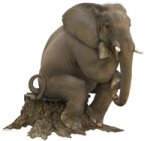 lrSiloElephantThinker.jpg lrSiloElephantThinker.jpg