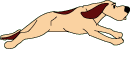 37.gif