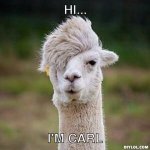 hot-carl-meme-generator-hi-i-m-carl-76f557.jpg