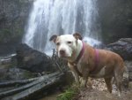 20160402_143243.jpg 20160402_143243.jpg