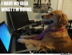 I-Have-No-Idea-What-Im-Doing_o_99475.jpg