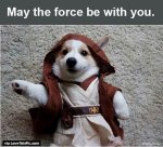force be with you.jpg