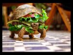 turtle burger.jpg