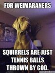 tennis balls thrown by God.jpg