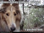 timmy down the well.jpg