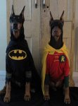 batman and robin dogs.jpg