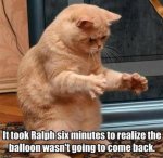 funny-animal-memes-3-1-05-1-3-4-6-7-8-9-3-2-1-4-3-2.jpg