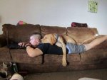 dog sleeping on man.jpg