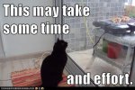 This%u00252Bmay%2Btake%2Bsome%2Btime%2Band%2Beffort.jpg