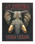 Alabama_Crimson_Tide_al50_large.jpg