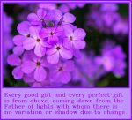 everygoodgift.jpg everygoodgift.jpg