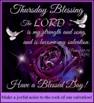joyfulnoise.jpg joyfulnoise.jpg