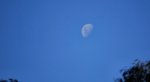 the_moon_in_daylight_by_waznitch.jpg