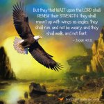 Isaiah-40-311.jpg
