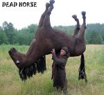 deadhorse.jpg