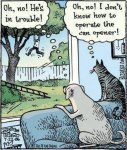 Difference-between-cats-and-dogs---cartoon.jpg