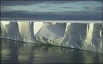 03rossiceshelf-0.jpg