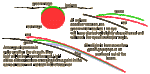 gflash.gif