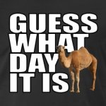 Guess-What-Day-It-Is-Hump-Day-Camel-T-shirt.jpg