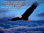 c4ba5a2e2623fbbb23a92f8be5f14fe1.jpg c4ba5a2e2623fbbb23a92f8be5f14fe1.jpg