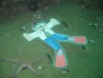 lagunabeachdiving3.jpg
