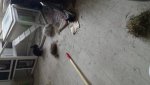 20160429_183047.jpg
