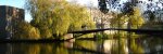 campus-bridge-720x240.jpg