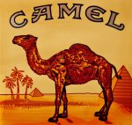 camel-cigarette.jpg camel-cigarette.jpg