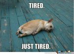 so-tired-man_o_544336.jpg so-tired-man_o_544336.jpg