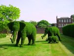 animals-topiary.jpg animals-topiary.jpg