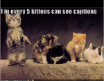 One-in-5-kittens.png