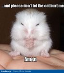 Praying_critter.jpg