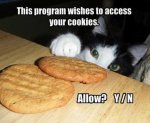 ACATSESS your cookies.jpg