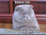 Banker_cat.jpg