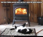 Cat n fireplace.jpeg