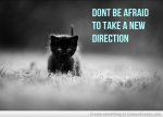 A New Direction.jpg