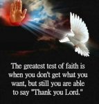 IMG_20160522_193053.JPG