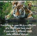 A Reflection.jpg