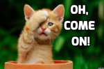 facepalm-1200x786.jpg