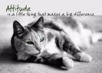 Attitude Difference.jpg