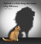Attitude.jpg
