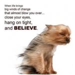 Believe.jpg