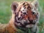 20160516_184814.jpg 20160516_184814.jpg
